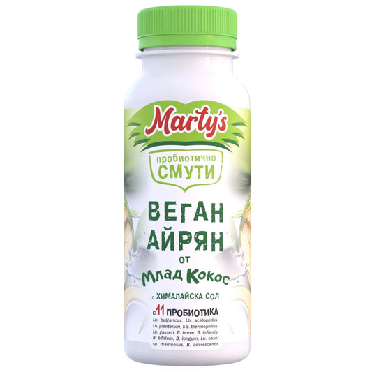 Веган смути вкус айрян 260г